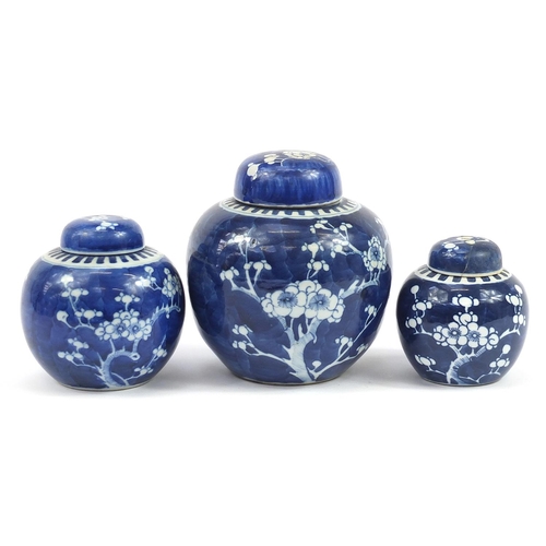 88 - Three Chinese blue and white porcelain ginger jars with covers hand painted with prunus flowers, eac... 