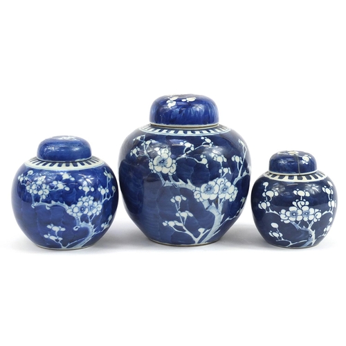 88 - Three Chinese blue and white porcelain ginger jars with covers hand painted with prunus flowers, eac... 