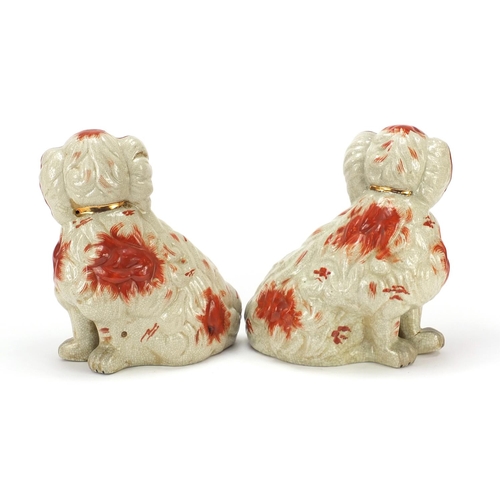 1102 - Large pair of Staffordshire style Spaniels, each 29cm high