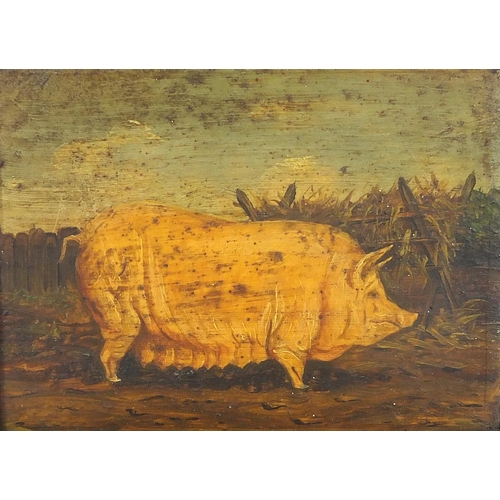 274 - Pigs in pig sties, pair of 19th century Naive oil on wood panels, framed, each approximately 8.5cm x... 