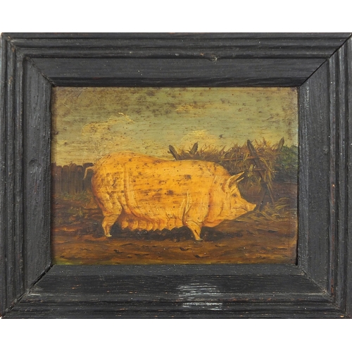 274 - Pigs in pig sties, pair of 19th century Naive oil on wood panels, framed, each approximately 8.5cm x... 