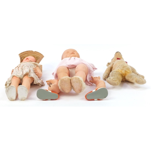 1360 - Two Rosebud and Pedigree vintage dolls and a golden articulated teddy bear, the largest 50cm high