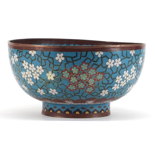 348 - Chinese cloisonne bowl enamelled with prunus flowers, character marks to the base, 25cm in diameter