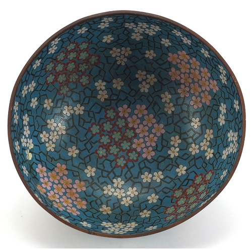 348 - Chinese cloisonne bowl enamelled with prunus flowers, character marks to the base, 25cm in diameter