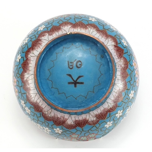 348 - Chinese cloisonne bowl enamelled with prunus flowers, character marks to the base, 25cm in diameter