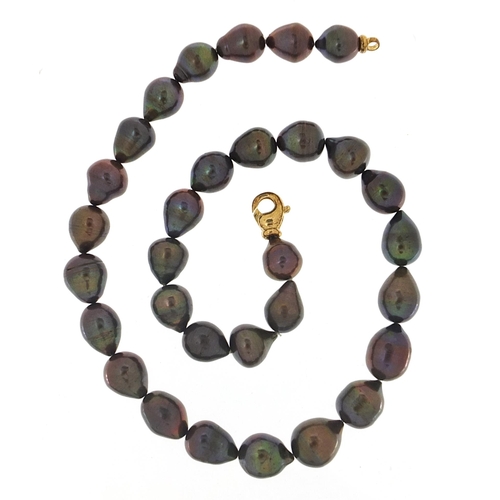 2147 - Black pearl necklace with silver gilt clasp, possibly Tahitian pearl, 47cm in length, the largest pe... 