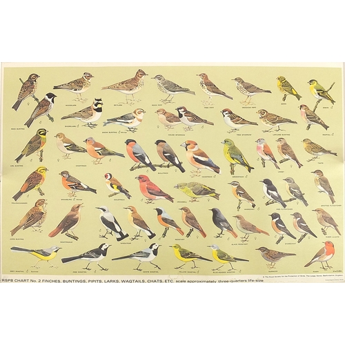 1497 - Ten vintage bird posters including Sea Birds, Royal Society for the Protection of Birds, published B... 