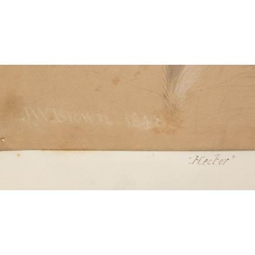 950 - J W Brown 1818 - Hector, 19th century Greek mythology interest heightened pencil, mounted, unframed,... 