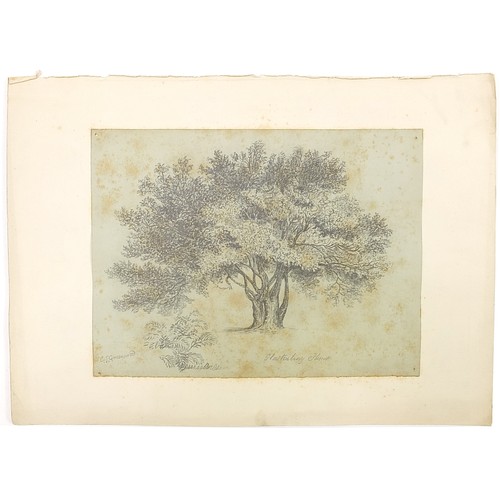 949 - 19th century and later inks, watercolours and pencil sketches including portrait of a 17th century g... 