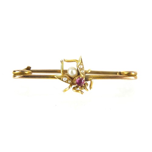 1841 - Unmarked gold fly brooch set with a ruby and seed pearls, 3cm wide, 1.6g