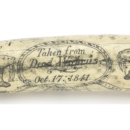 726A - Large scrimshaw style model of a tusk, 53cm in length