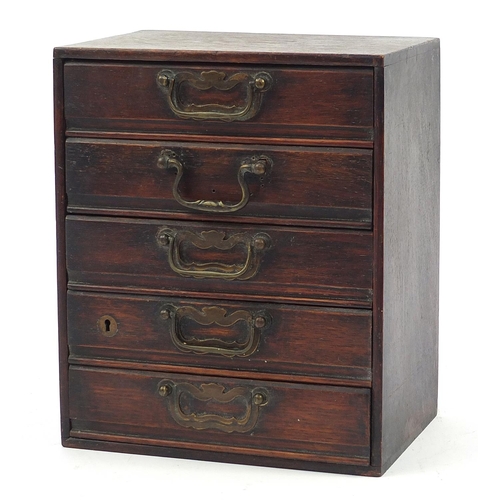 513 - Oak five drawer collector's chest with brass handles, 31cm H x 25.5cm W x 17cm D