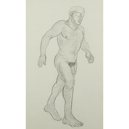 507 - Full length portrait of a nude man, Modern British school pencil, mounted, framed and glazed, 45.5cm... 