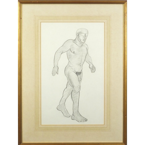 507 - Full length portrait of a nude man, Modern British school pencil, mounted, framed and glazed, 45.5cm... 