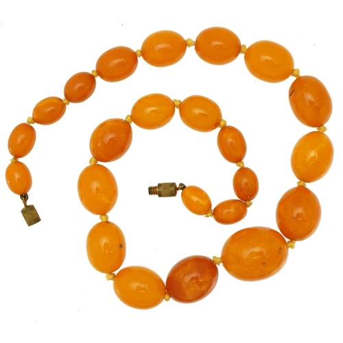 1427 - Amber coloured graduated bead necklace, 40cm in length, 31.2g