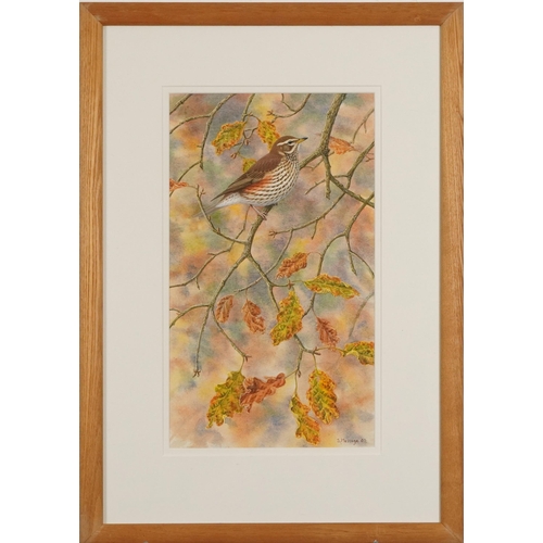 503 - Stephen Message '05 - Redwing on a branch, watercolour, mounted, framed and glazed, 37cm x 21cm excl... 