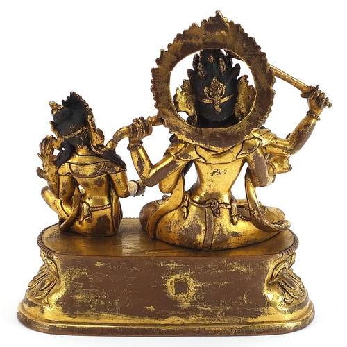 141 - Chino Tibetan gilt bronze figure of two deities sitting on a lotus leaf, 16cm wide