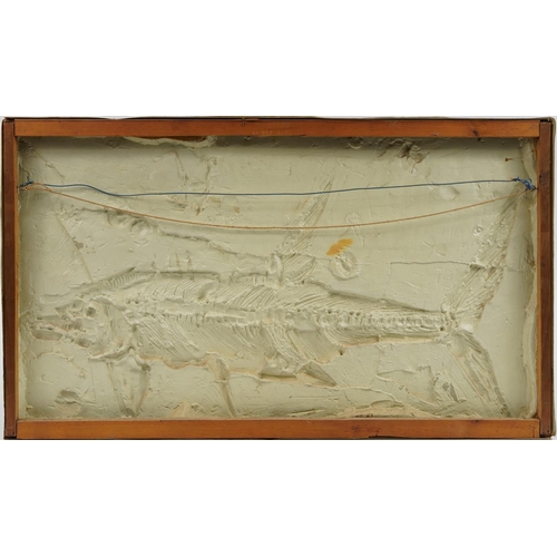 291 - Mid century fossil design wall hanging of a fish, 95cm x 55cm