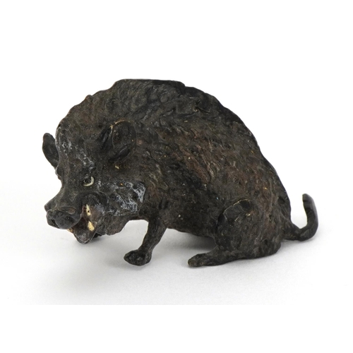 1022 - Modern cold painted bronze boar in the style of Franz Xaver Bergmann, 6cm in length