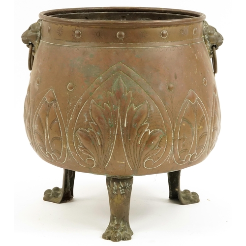 801 - Victorian brass coal bucket with lion mask ring turned handles on paw feet, 41cm high