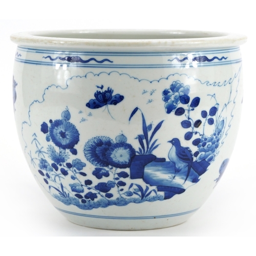 69 - Chinese blue and white porcelain jardiniere hand painted with a bird and butterfly amongst flowers a... 