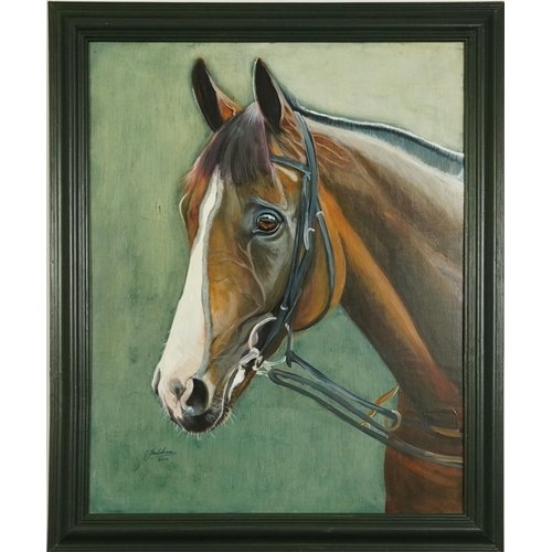 599 - Clive Fredriksson 2022 - Portrait of a horse, oil on board, framed, 75cm x 60cm excluding the frame