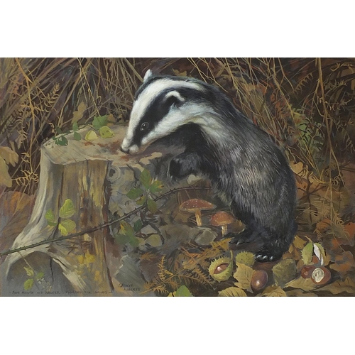 179 - Arthur Spencer Roberts - Four month old badger looking for grubs, watercolour, Philip P Batchley lab... 