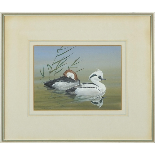 450 - Don Forrest - Birds in flight and Ducks on Water, set of three 1970s watercolour and gouaches, two w... 