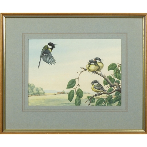 450 - Don Forrest - Birds in flight and Ducks on Water, set of three 1970s watercolour and gouaches, two w... 