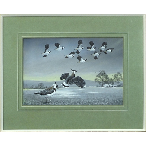 450 - Don Forrest - Birds in flight and Ducks on Water, set of three 1970s watercolour and gouaches, two w... 