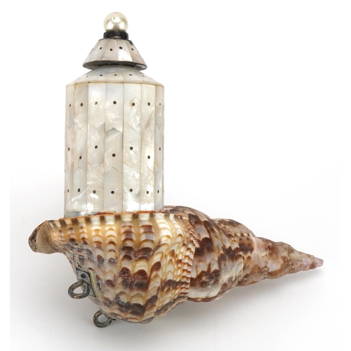 422 - Indian Goa mother of pearl and shell powder flask, 20.5cm in length