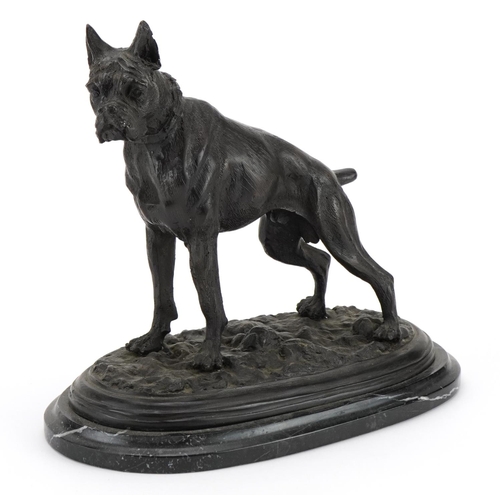 606 - After Pierre Jules Mene, patinated bronze study of a Boxer dog raised on an oval marble base, 30cm i... 