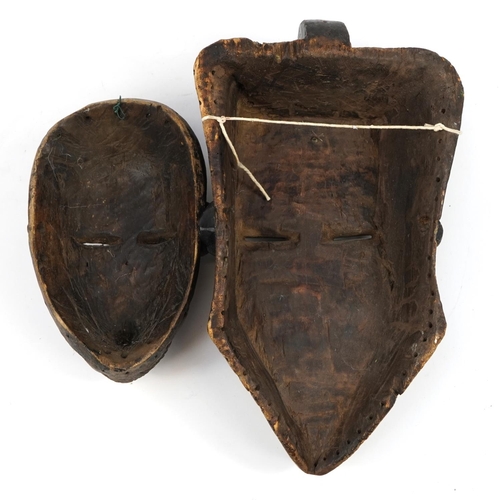 435 - Two Tribal interest face masks including one with white paint, the largest 38cm high