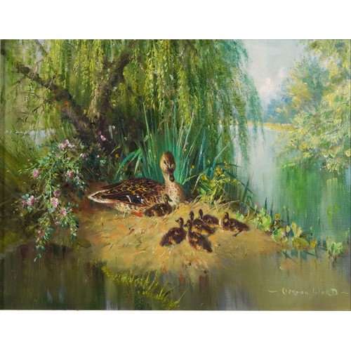 216 - Vernon Ward - Summer Babies, ducks with ducklings, oil on canvas, inscriptions and Beckstones Galler... 