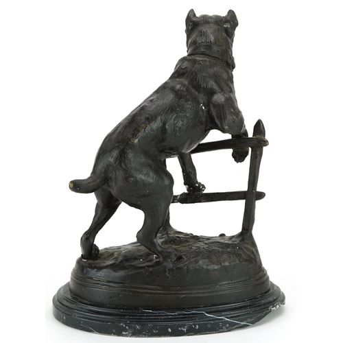 85 - After Charles Valton, patinated bronze Bull Mastiff guard dog raised on an oval black slate base, 32... 