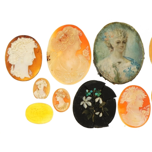 1571 - Collection of cameo panels carved with maiden heads, two hand painted examples and a pietra dura pan... 