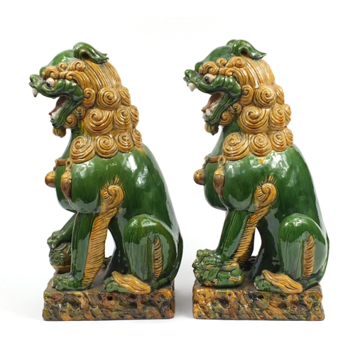 127 - Large pair of Chinese floor standing pottery seated lions having a sancai type glaze, each 59cm high