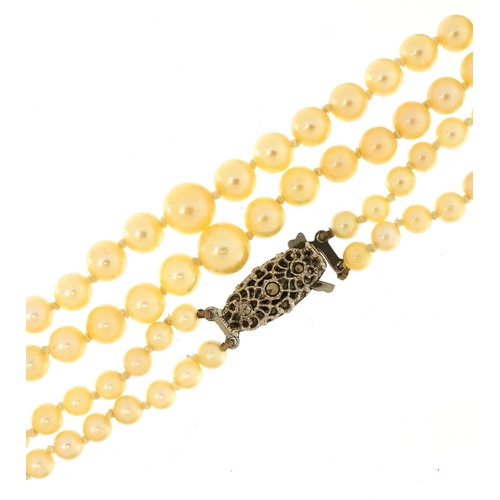 1576 - Graduated cultured pearl two string necklace with silver marcasite clasp and box, 44cm in length, 35... 