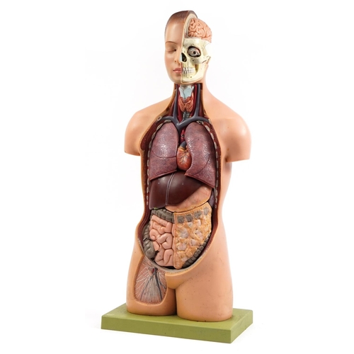 Somso, West German medical interest human anatomy model, 92cm high