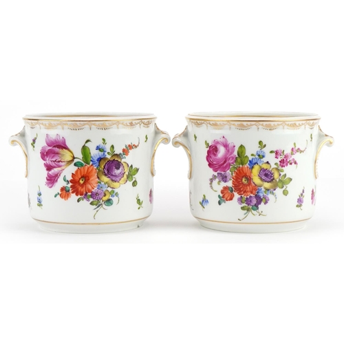 294 - Augustus Rex, pair of German porcelain cache pots with twin handles, each hand painted with flowers,... 