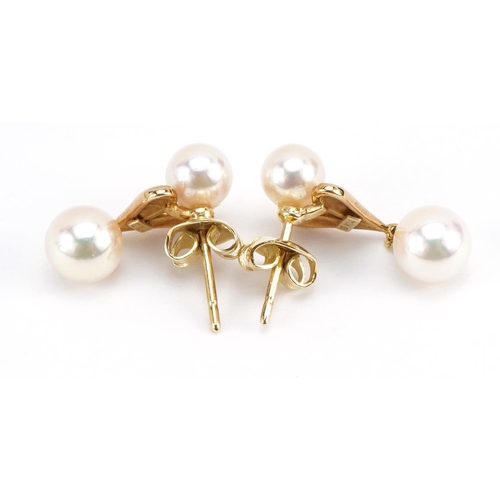 2592 - Pair of 14k gold Mikimoto pearl drop earrings housed in a Mikimoto Ginza, Tokyo box, 2.2cm high, 3.3... 