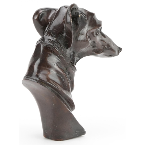 462 - Bronze study of a greyhound bust, 20cm in length