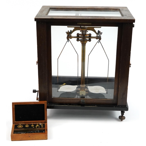 156 - Paul Bunge of Hamburg, set of brass balance scales housed in a glazed oak display case, 43cm H x 36.... 