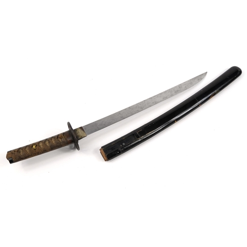 66 - Antique Japanese wakizashi with lacquered scabbard with sheath, 58.5cm in length