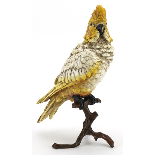 344 - Cold painted bronze cockatiel on a branch in the style of Franz Xaver Bergmann, 30cm high