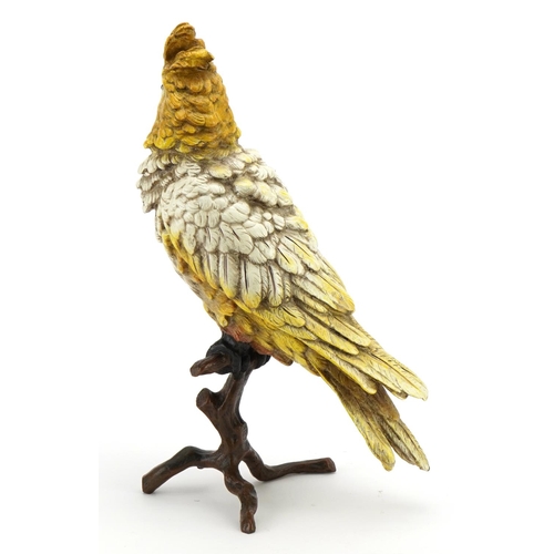 344 - Cold painted bronze cockatiel on a branch in the style of Franz Xaver Bergmann, 30cm high