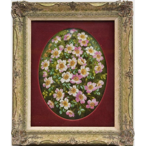 174 - Continental oval porcelain plaque hand painted with flowers housed in an ornate frame with velvet mo... 