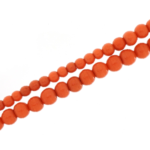 2566 - Graduated coral single string bead necklace with gilt metal clasp, 85cm in length, 50.4g