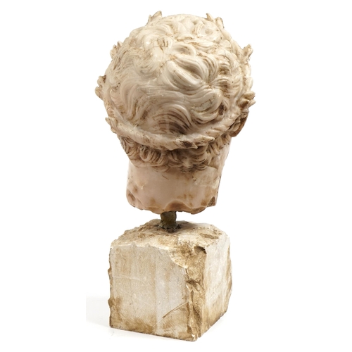 283 - Large classical bust of a Roman Emperor, 50cm high