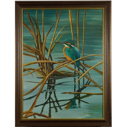 303 - Kingfisher on reeds above water, oil on board, indistinctly signed, possibly ... Dobbs, mounted and ... 